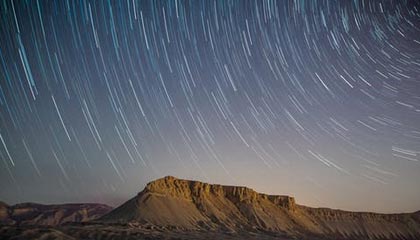 从茶园到茶桌：广佛精品茶室的选茶标准