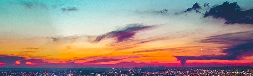 神木茶虫网_神木品茶